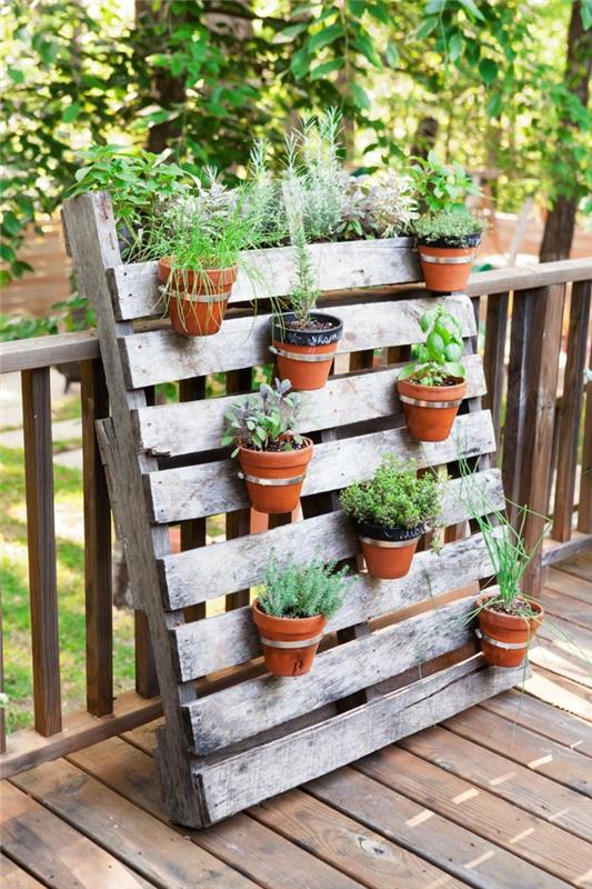 γλάστρες φυτά κήπου φυτά παλέτα diy ιδέες