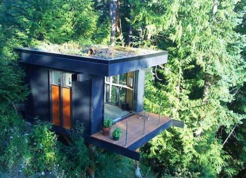 ονειρικά σπίτια με δέντρα χτισμένα σε δασικό σχεδιασμό