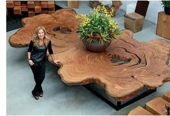 Driftwood τραπέζι σαλονιού χτίστε τον εαυτό σας cutout