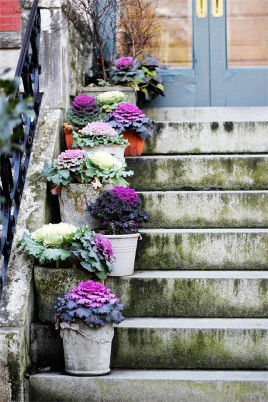 διακοσμούν σκάλες είσοδο διακόσμηση φθινοπωρινό λάχανο