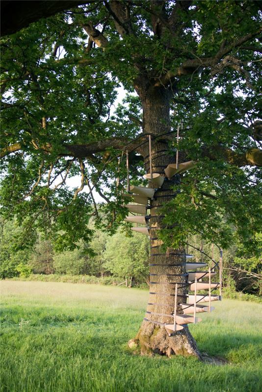 χτίστε σκάλες μόνοι σας δέντρο καμπυλωτό σχέδιο