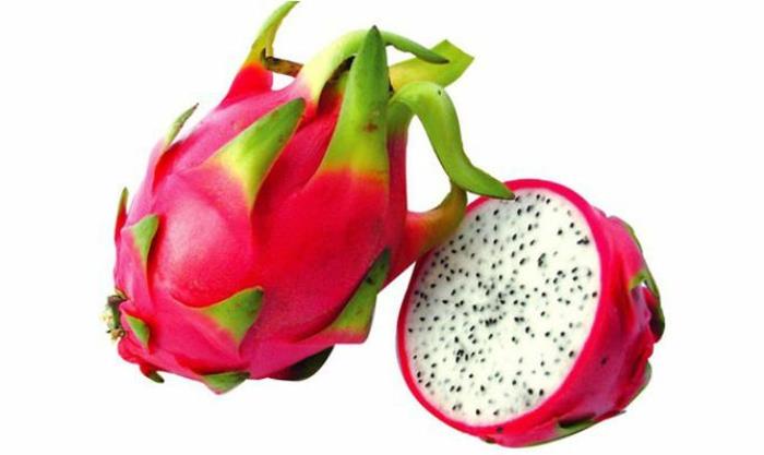 τροπικά φρούτα pitahaya pitaya dragon φρούτα