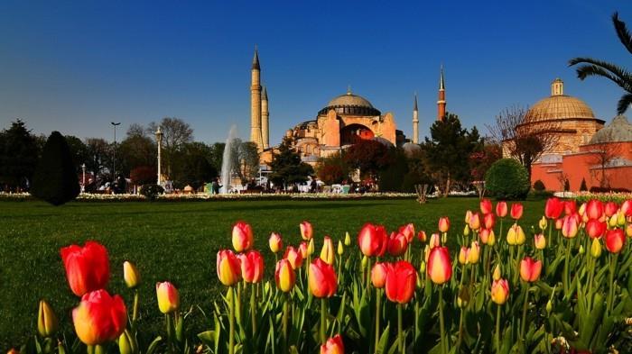επισκεφθείτε το φεστιβάλ τουλίπας στην Κωνσταντινούπολη