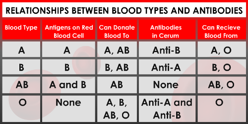 kan grubu türleri