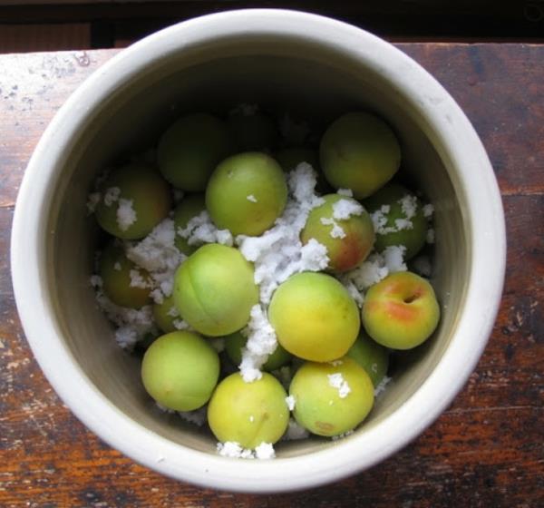 τοποθετήστε umeboshi για αποτοξίνωση του σώματος