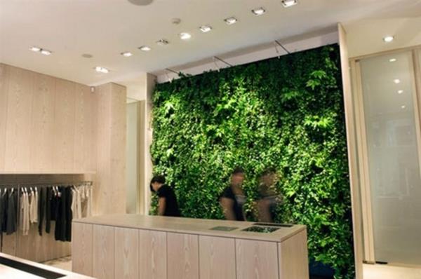 κατακόρυφοι κήποι πράσινος τοίχος στο κατάστημα