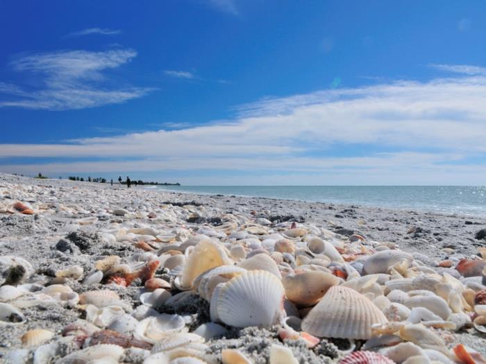 διακοπές φλόριντα καλύτερες παραλίες άμμο κοχύλια ταξιδεύουν