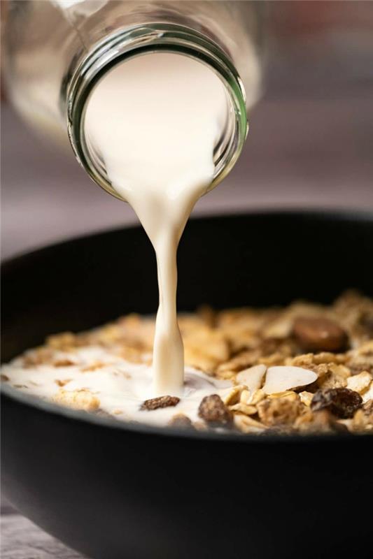 το vegan γάλα φτιάξτε μόνοι σας ιδέες για υγιεινό πρωινό
