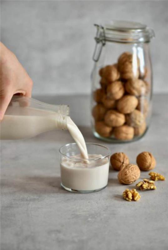 Φτιάξτε μόνοι σας vegan γάλα υγιές καρύδι