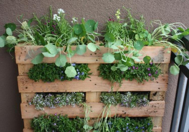 Φτιάξτε μόνοι σας κάθετο κήπο Οδηγίες για κάθετα έργα πρασίνισης DIY