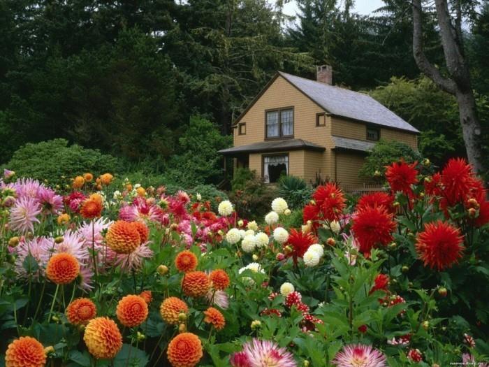 πολλά λουλούδια μπροστά από ένα σπίτι
