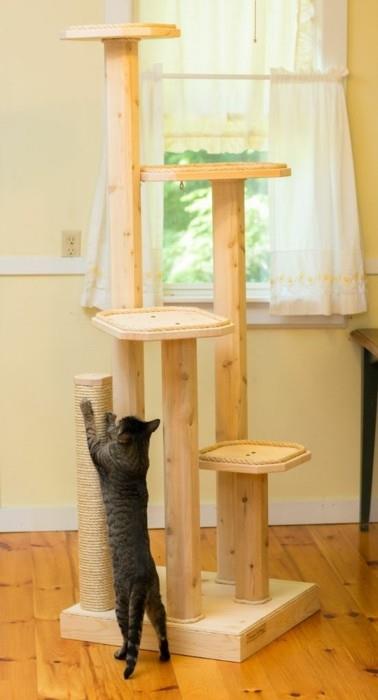 τετράποδα γάτες ξύσιμο στύλο