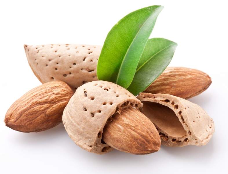e vitamini yüksek gıdalar
