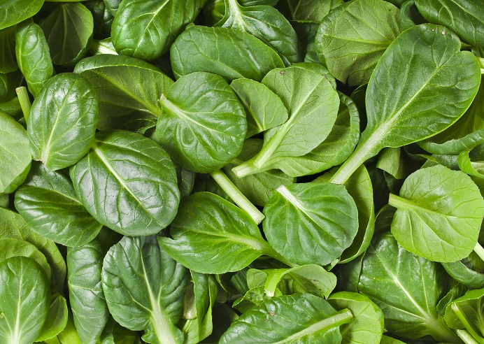 e vitamini içeren besinler