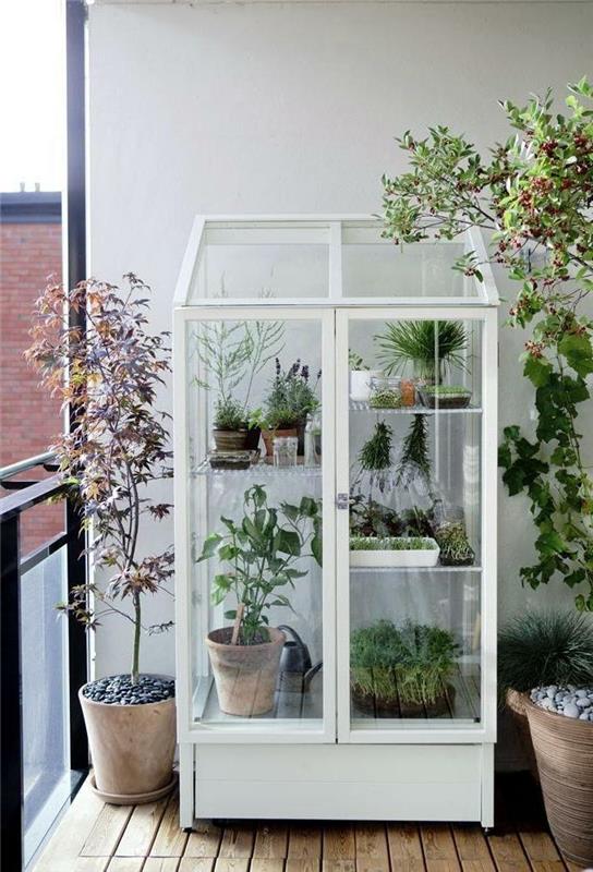 βιτρίνα ντουλάπι μπαλκόνι βεράντα σχεδιασμό φυτά μπαλκόνι
