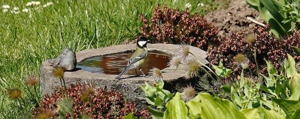 Φτιάξτε τις δικές σας διακοσμήσεις κήπου με λουτρά πουλιών