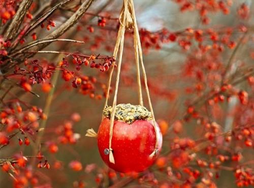 φτιάξτε μόνοι σας τροφοδότη κόκκινων μήλων