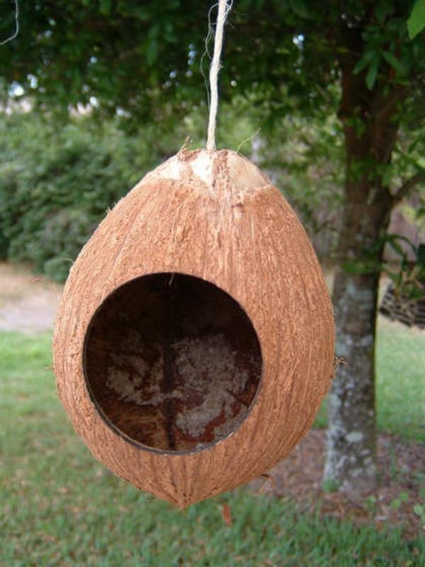 Φτιάξτε το ίδιο σπίτι πουλιών από καρύδα