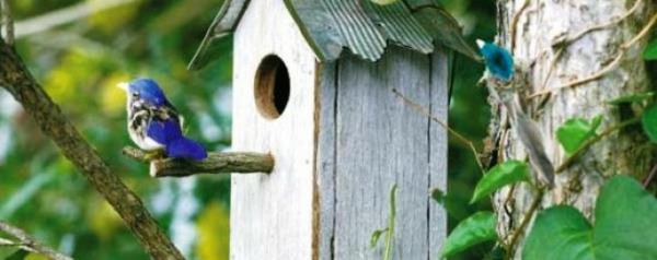 Φτιάξτε το δικό σας σπίτι πουλιών