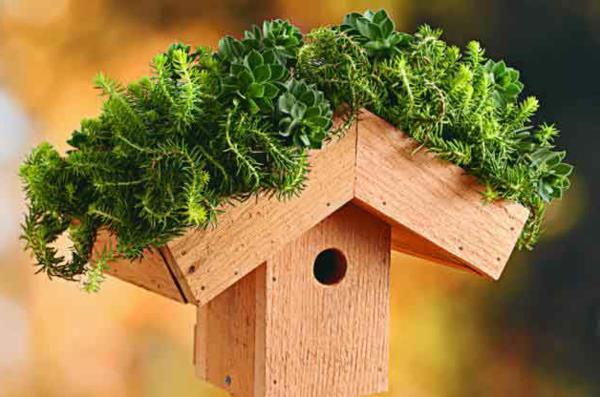 φτιάξτε μόνοι σας ένα σπίτι πουλιών για ξύλο φιλικό προς το περιβάλλον roof garden