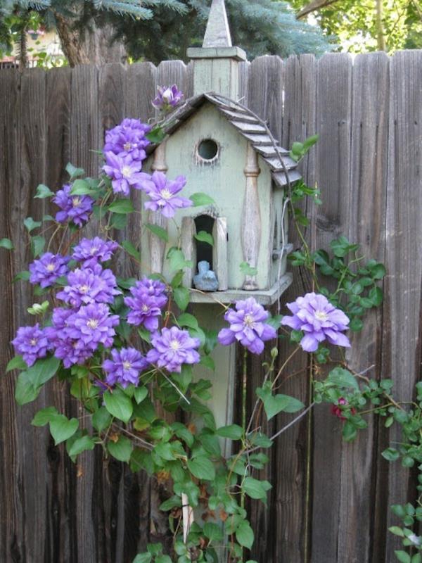 σπίτι πουλιών χτίζει ξύλο φιλικά προς το περιβάλλον μοβ λουλούδια