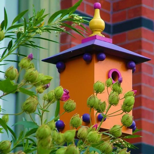 Το σπίτι των πτηνών κατασκευάζει ανθεκτικό ξύλο, φιλικό προς το περιβάλλον πορτοκαλί μοβ