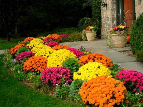 μπροστινή αυλή σχεδιασμός κήπου χρωματιστά λουλούδια γκαζόν