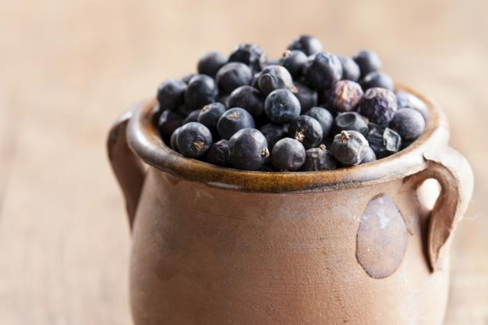μούρα αρκεύθου βάζο Juniper αποτέλεσμα ενδιαφέροντα γεγονότα