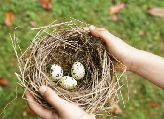 αυγά ορτυκιών βιώσιμες συμβουλές του Πάσχα φτιάξτε μόνοι σας πασχαλινές διακοσμήσεις