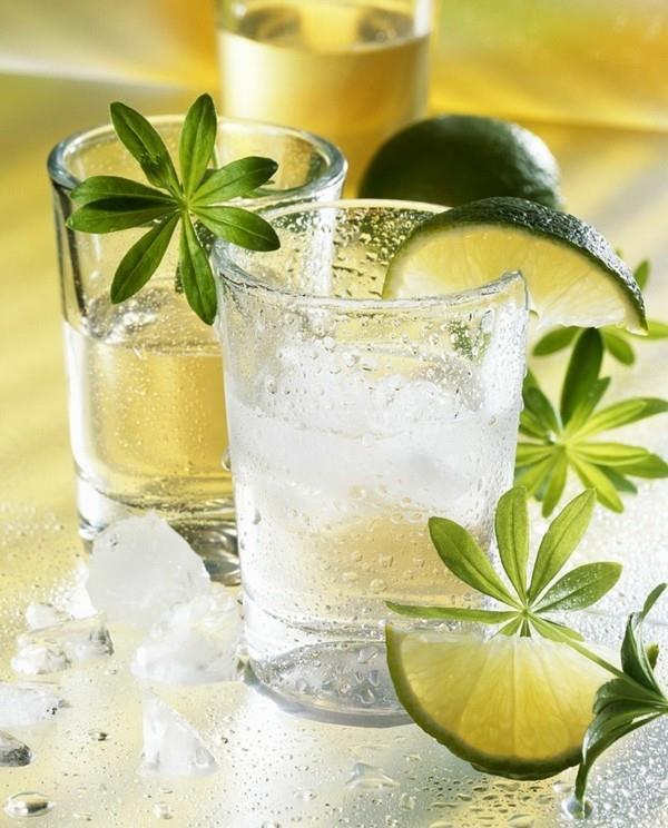 συνταγές waldmeister φτιάξτε τη λεμονάδα μόνοι σας likeur συνταγή