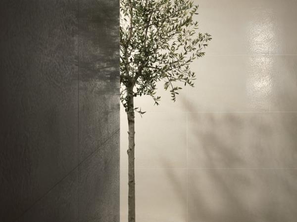 δέντρο φύση όμορφες ιδέες πλακάκια τοίχου cerdisa