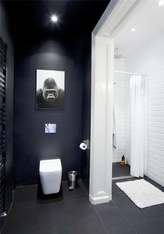 χρώμα τοίχου μαύρο μπάνιο επίπλωση ασπρόμαυρες ντεκό ιδέες