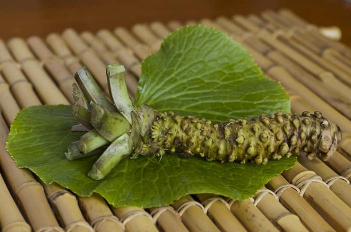 φυτό wasabi ασιατικά πιάτα ρίζα φύλλων wasabi