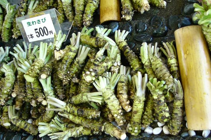 πολλά φυτά wasabi στην αγορά στην Ασία