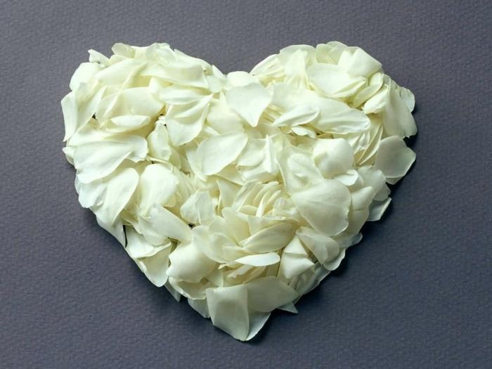 λευκό τριαντάφυλλο διακόσμηση καρδιά ρομαντική αθωότητα