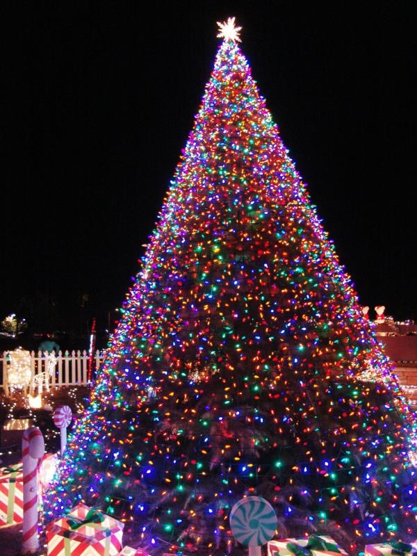 χριστουγεννιάτικο δέντρο που ανάβει πολύχρωμα αστέρια