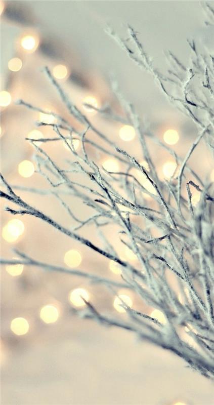 Χριστουγεννιάτικα φώτα φαναράκια tinker ιδέες χρώμα λευκό
