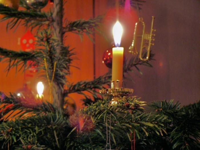 χριστουγεννιάτικα διακοσμητικά με φυσικά υλικά χριστουγεννιάτικα μπισκότα αντανακλαστικό φωτός