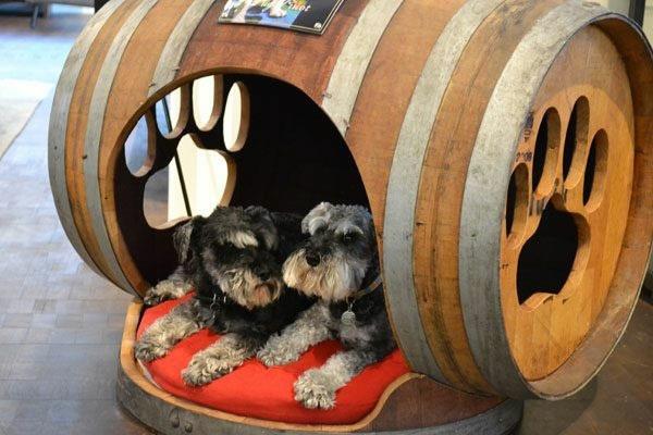 βαρέλι κρασιού ξύλινο βαρέλι DIY έπιπλα αξεσουάρ σκύλου φτιάξτε το δικό σας κρεβάτι σκύλου