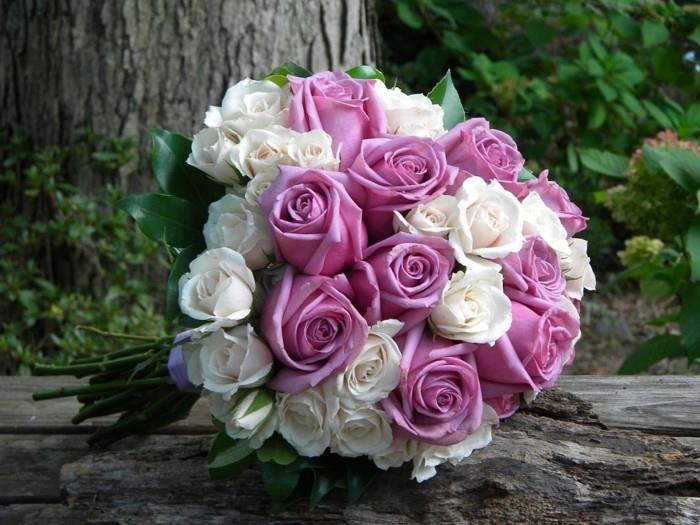 λευκά και λεβάντα τριαντάφυλλα