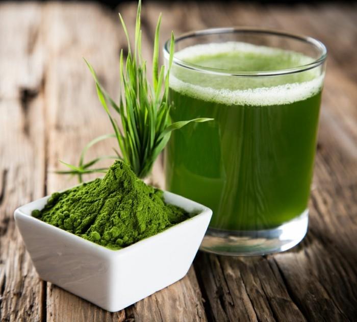σπόροι σιταριού χυμός σιταριού χυμός smoothie σπόροι φύτρων φύτρου