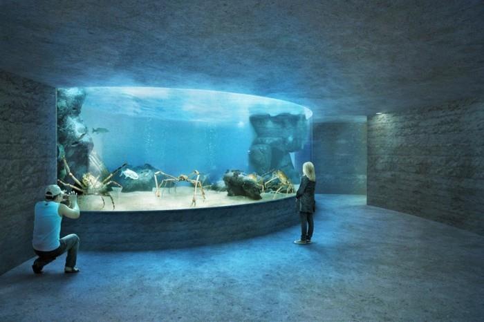 σχεδιάστε ένα παγκόσμιο ταξίδι στη Βασιλεία ζωολογικός κήπος ωκεανίου μεγάλα καβούρια