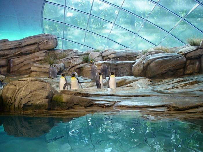 προγραμματίστε ένα παγκόσμιο ταξίδι πιγκουίνοι ζωολογικού κήπου στο Βερολίνο