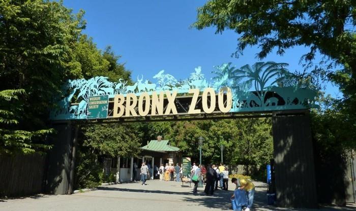 προγραμματίστε ένα παγκόσμιο ταξίδι στο ζωολογικό κήπο του Μπρονξ, ΗΠΑ, ταξίδι στην Αμερική