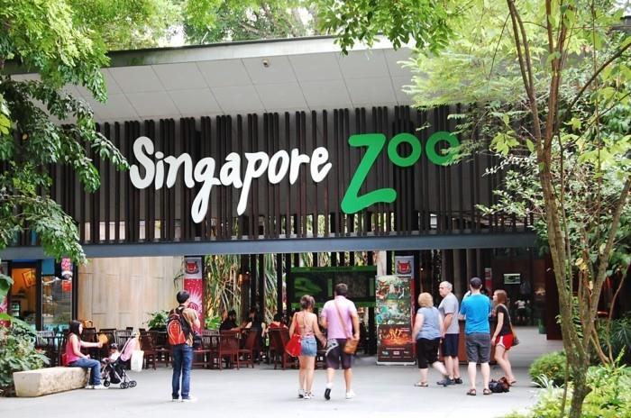προγραμματίστε ένα ταξίδι στον ζωολογικό κήπο της Σιγκαπούρης στην Ασία