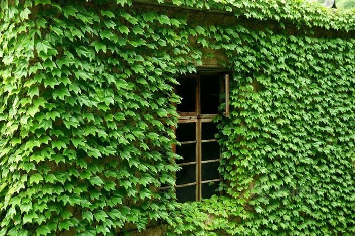 παγκόσμιο ταξίδι gouqi όμορφη αρχιτεκτονική εγκαταλελειμμένο χωριό