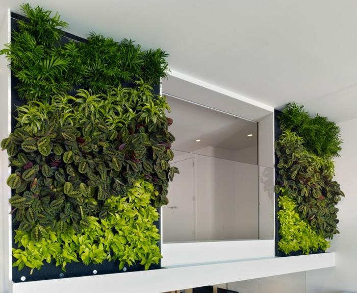 οι τοίχοι σχηματίζουν συμμετρικά φρέσκα πράσινα φυτά