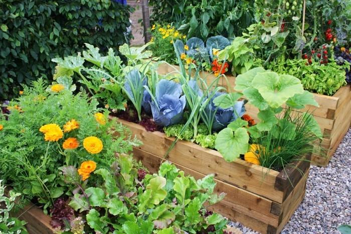 ζωντανές ιδέες, λαχανικά καλλιέργειας κήπου