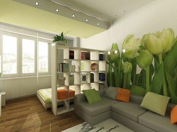 Επιπλωμένο διαμέρισμα ενός δωματίου σε πράσινο ράφι με καναπέ-κρεβάτι
