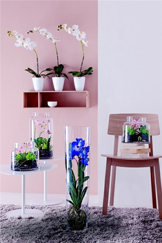 ζωντανές ιδέες φενγκ σούι εσωτερικά φυτά βαφή τοίχου σκοτεινό ροζ terraruim